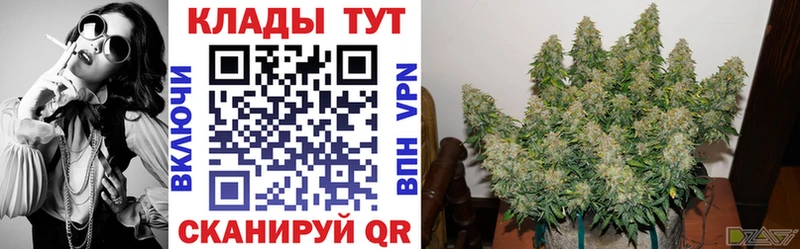 Наркошоп купить Амфетамин  Марихуана  APVP  МЕФ  ГАШИШ  Дрезна