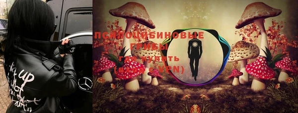 ALPHA PVP Инсар